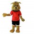 Bulldog Mascot Mascot Costume Cosplay