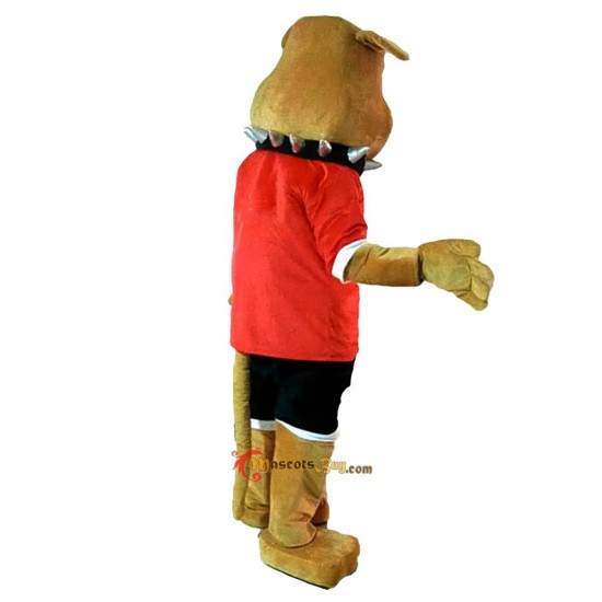 Bulldog Mascot Mascot Costume Cosplay