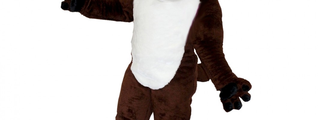 Cheap Mascot Costumes for Youth Groups and Clubs