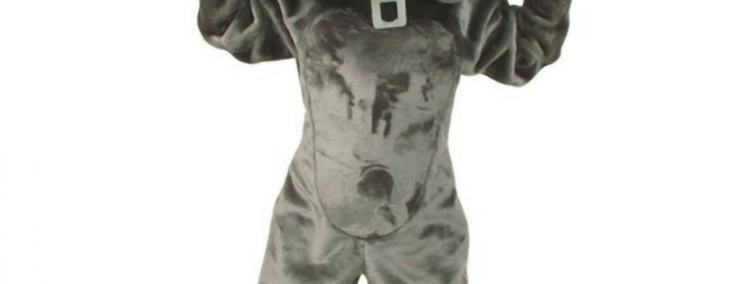 Why Fruit Mascot Costumes Are a Hit at Corporate Events