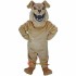Bully the Bulldog Mascot Costume Cosplay