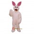 Bunny Mascot Costume Cosplay