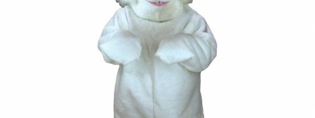 Animal Magic: Bringing Raccoon Mascot Costumes to Life at Events