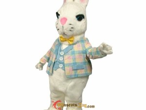 How Much Does a Professional Dragon Mascot Costume Cost?