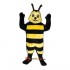 Buzz Mascot Costume Cosplay
