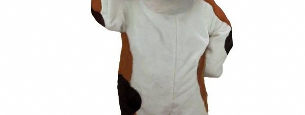 DIY Fruit Mascot Costumes: Tips and Tricks