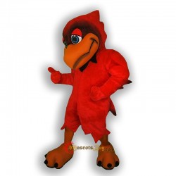 Cardinal Mascot Costume Cosplay