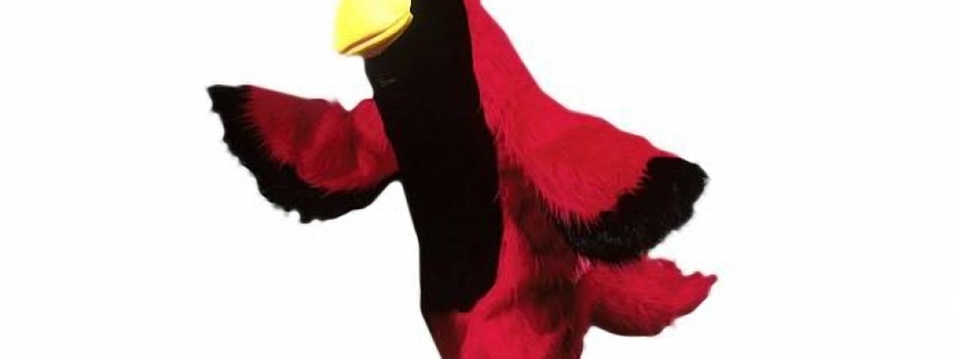 Duck Mascot Costumes vs. Other Animal Costumes: What Makes Them Unique