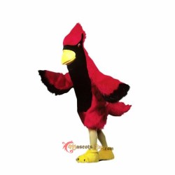 Cardinal Mascot Costume Cosplay
