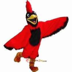 Cardinal Mascot Costume Cosplay