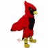Cardinal Lightweight Mascot Costume Cosplay