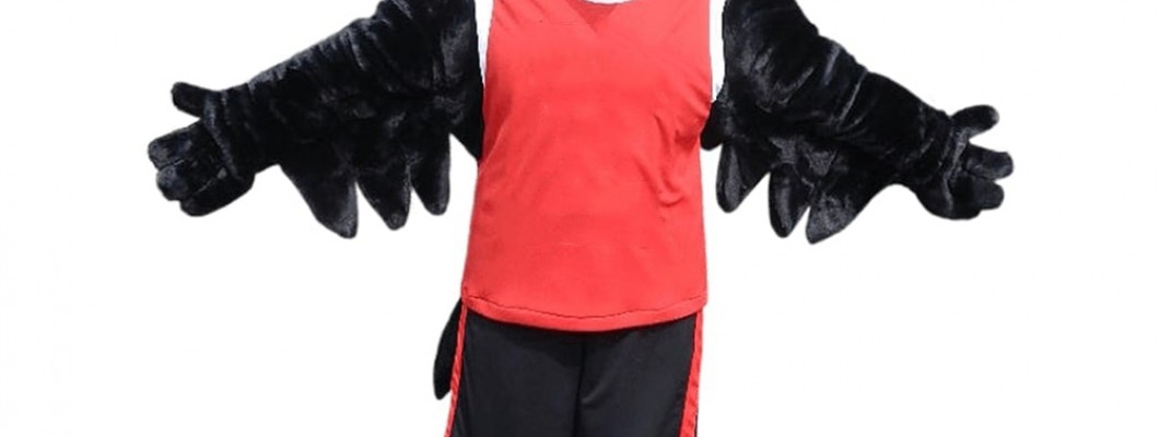 Monkey Mascot Costumes in Festivals: A Global Perspective