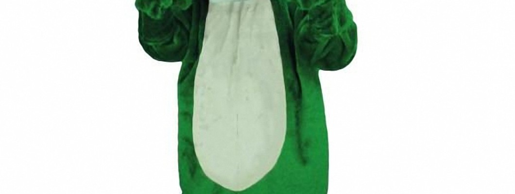 A Buyer's Guide: How to Select the Best Raccoon Mascot Costume