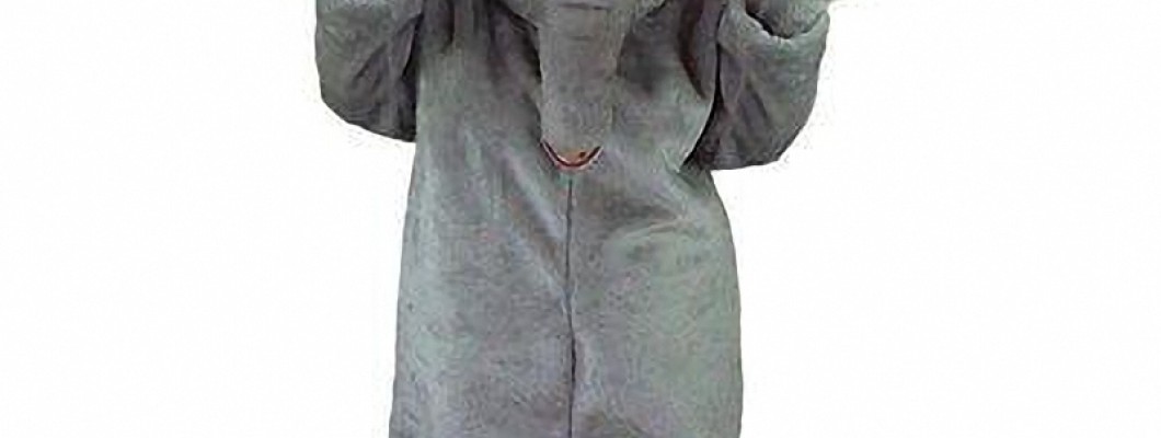 How to Bring Your Elephant Mascot Costume to Life