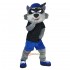 Cartoon Raccoon Mascot Costume Cosplay