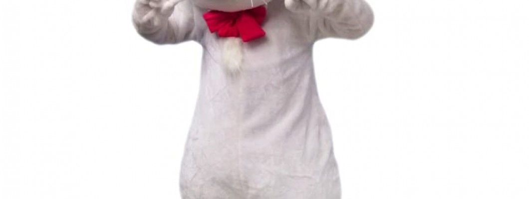 How to Use a Duck Mascot Costume in Your Next YouTube Video