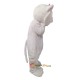Cat Mascot Costume Cosplay