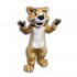 Cat Mascot Costume Animal Costume Cosplay