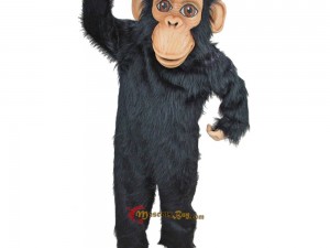 Maintenance Tips for Your Dragon Mascot Costume