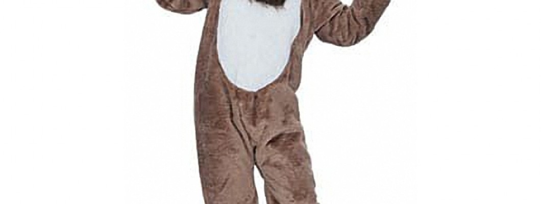 Insect Mascot Costumes: Bringing Backyard Stories to Life