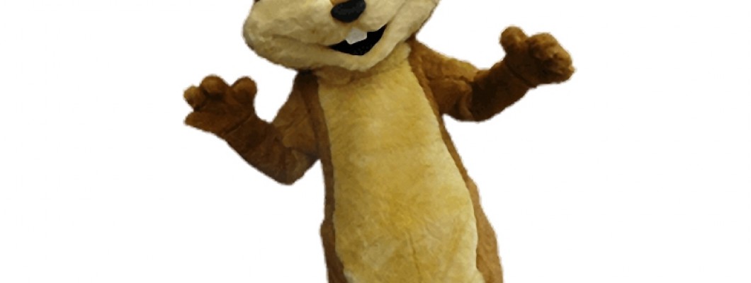 The Impact of Social Media on the Popularity of Lion Mascot Costumes