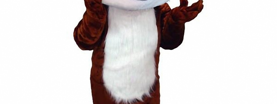 The History of the Squirrel Mascot in Pop Culture