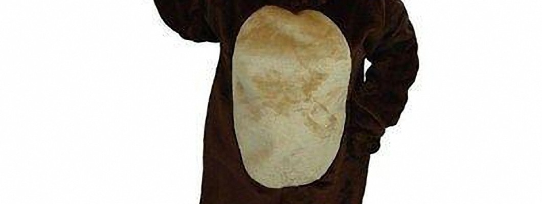 The Best Places to Buy Mascot Costumes Online