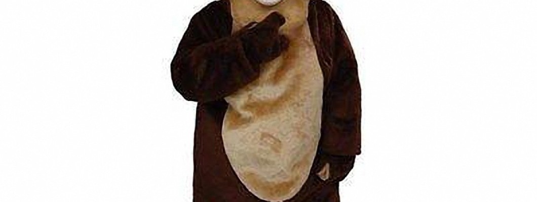 Dress for Success: Tips on Selecting the Best Cougar Mascot Costume