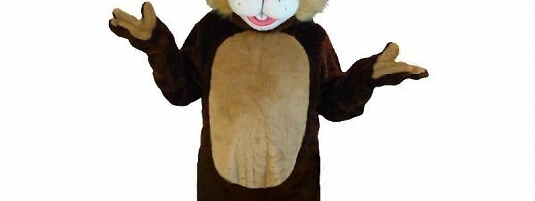 The Ultimate Guide to Chicken Mascot Costumes for School Events