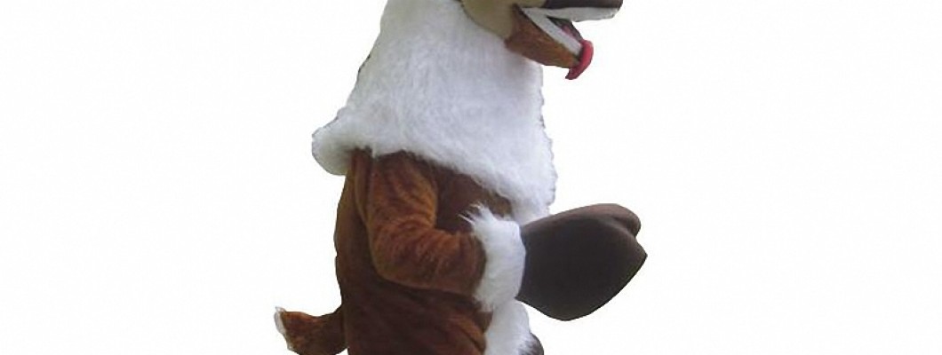 User Reviews: Testimonials on Wearing Fox Mascot Costumes