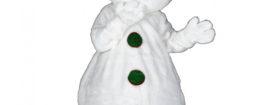 Where to Get Affordable Mascot Costumes for Concerts