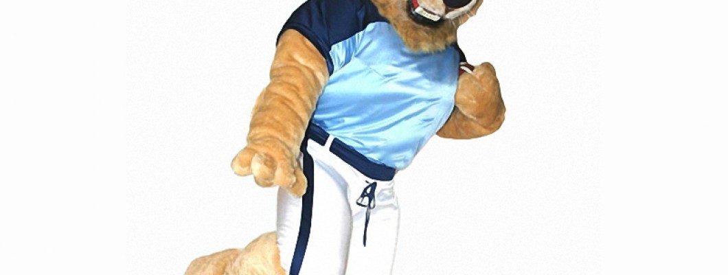 The Top 5 Duck Mascot Costumes of All Time