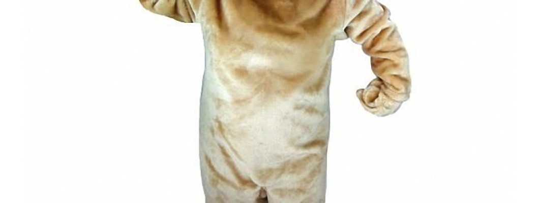 The History and Evolution of Giraffe Mascot Costumes