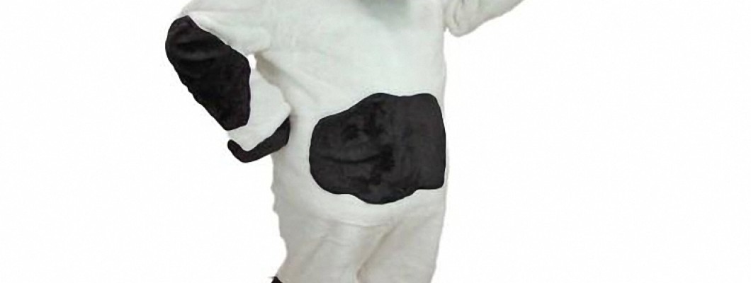 Squirrel Mascot Costumes for Fundraisers and Charity Events