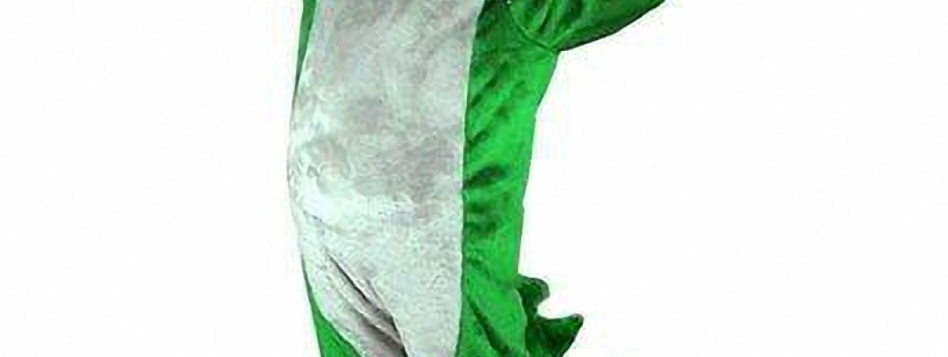 From Flowers to Fans: The Impact of Plant Mascot Costumes at Public Events