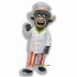Custom Buffalo Mascot Costume Cosplay