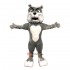 Cute Bulldog Mascot Costume Cosplay