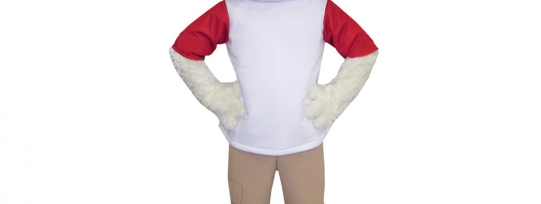 Safety First: Ensuring Comfort and Security in Fox Mascot Costumes