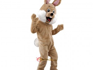 How Mascot Costumes Can Help Rebrand an Image