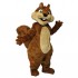 Cute Happy Squirrel Mascot Costume Cosplay