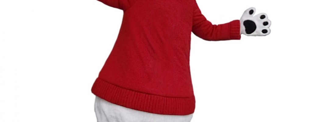 The Pros and Cons of Renting vs. Buying a Mascot Costume