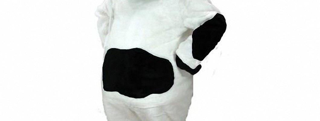 Chipmunk Mascot Costumes: More Than Just a Cute Face