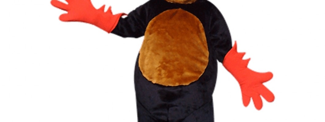 Leopard Mascot Costumes: What You Need to Know