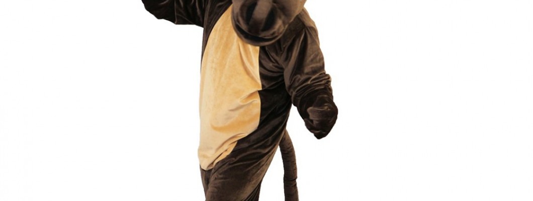 The Impact of Monkey Mascot Costumes on Fan Engagement in Sports Teams