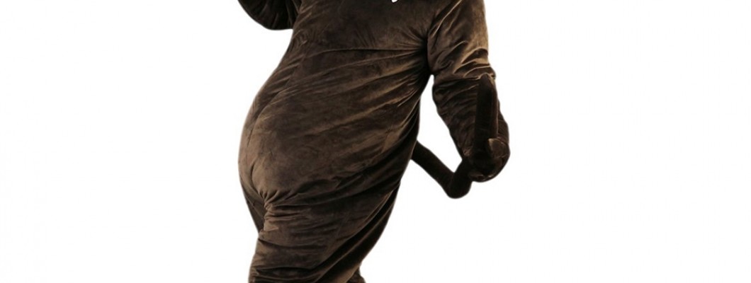 Sheep Mascot Costumes in Education: Teaching Tools and Classroom Fun