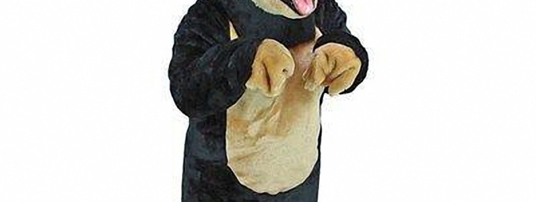 How to Care for Your Giraffe Mascot Costume