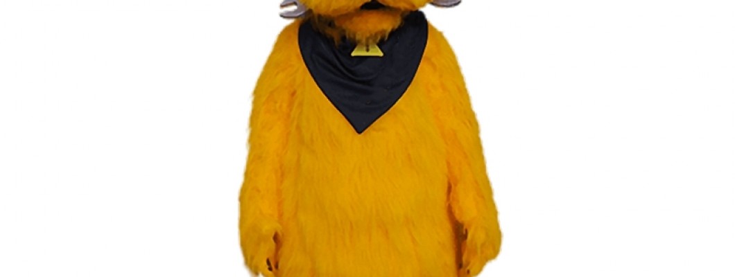 Meet the Team: The People Behind Your Favorite Raccoon Mascot Costumes