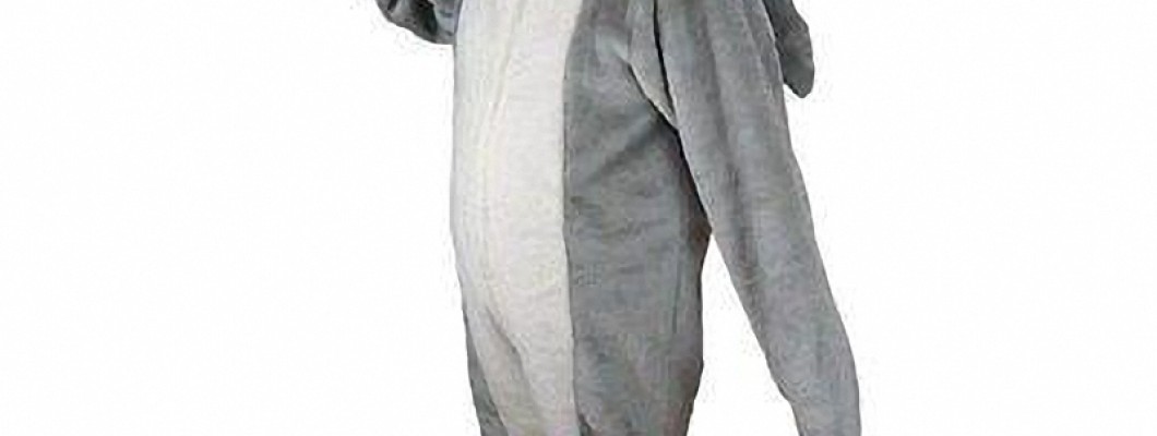 From Fabric to Finish: The Manufacturing Process of Jaguar Mascot Costumes