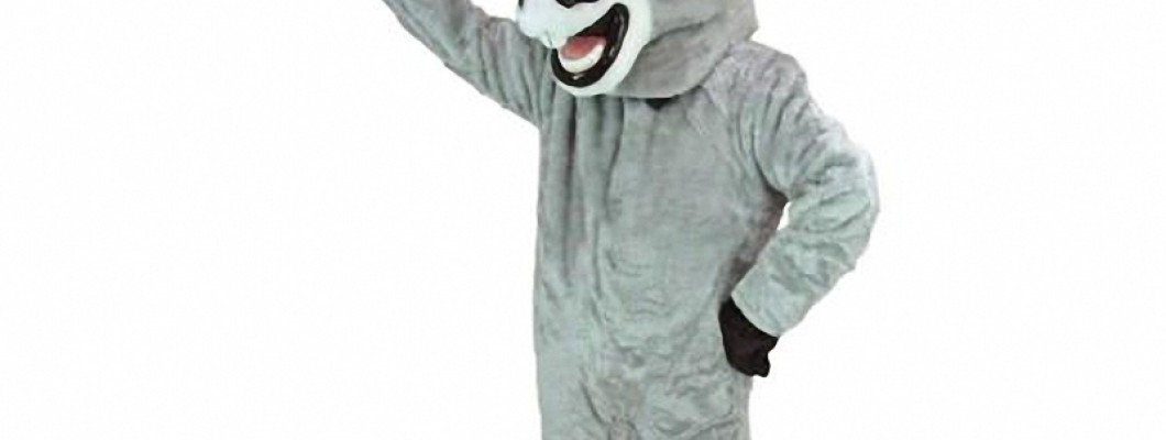 DIY Affordable Mascot Costumes: A Step-by-Step Guide