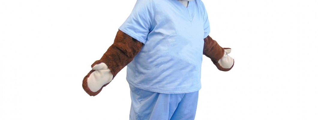 Wolf Mascot Costume Contests: How to Enter and Win